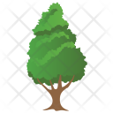 پیش‌نمایش فایل eastern-hemlock از پک Trees 
