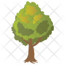 پیش‌نمایش فایل elm-tree-1 از پک Trees 