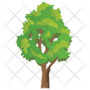 پیش‌نمایش فایل elm-tree از پک Trees 