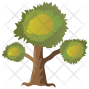 پیش‌نمایش فایل eucalyptus-tree-1 از پک Trees 