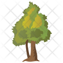 پیش‌نمایش فایل hemlock-tree از پک Trees 