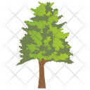 پیش‌نمایش فایل hickory-tree از پک Trees 