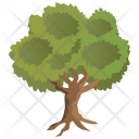 پیش‌نمایش فایل horn-beam-tree-1 از پک Trees 