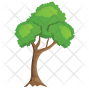 پیش‌نمایش فایل horn-beam-tree-2 از پک Trees 