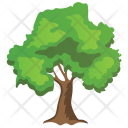 پیش‌نمایش فایل horn-beam-tree از پک Trees 