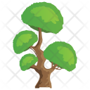 پیش‌نمایش فایل huang-shan-pine از پک Trees 