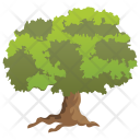 پیش‌نمایش فایل jerusalem-thorn از پک Trees 
