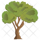 پیش‌نمایش فایل linden-tree-1 از پک Trees 