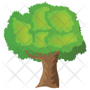 پیش‌نمایش فایل linden-tree از پک Trees 