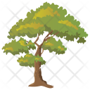 پیش‌نمایش فایل oak-tree-15 از پک Trees 