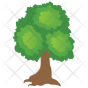 پیش‌نمایش فایل oak-tree-16 از پک Trees 