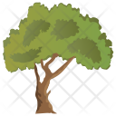 پیش‌نمایش فایل paperbark-maple-tree از پک Trees 