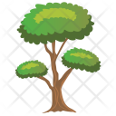 پیش‌نمایش فایل pinus-bonsai-1 از پک Trees 