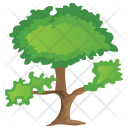 پیش‌نمایش فایل pinus-bonsai-2 از پک Trees 