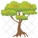 پیش‌نمایش فایل pinus-bonsai-3 از پک Trees 