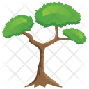 پیش‌نمایش فایل pitch-pine-tree از پک Trees 