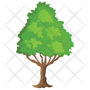 پیش‌نمایش فایل poplar-tree-3 از پک Trees 