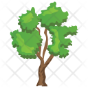 پیش‌نمایش فایل river-birch-tree از پک Trees 