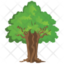 پیش‌نمایش فایل sassafras-tree-1 از پک Trees 