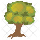 پیش‌نمایش فایل saw-tooth-oak-1 از پک Trees 