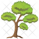 پیش‌نمایش فایل scots-pine-tree-1 از پک Trees 