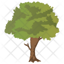 پیش‌نمایش فایل sugar-berry-tree از پک Trees 