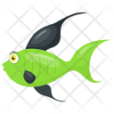 پیش‌نمایش فایل backdrop-fish از پک حیوانات دریایی