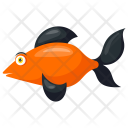 پیش‌نمایش فایل black-smudge-goldfish-2 از پک حیوانات دریایی