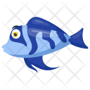 پیش‌نمایش فایل blue-cichlid-fish از پک حیوانات دریایی