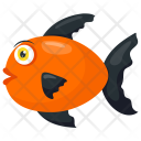پیش‌نمایش فایل red-wag از پک حیوانات دریایی