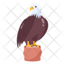 پیش‌نمایش فایل eagle-8562675 از پک استیکرهای شکار