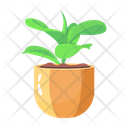 پیش‌نمایش فایل plant-pot-8194705 از پک هتل