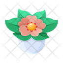 پیش‌نمایش فایل plant-and-flowers-8270102 از پک گیاه