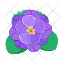 پیش‌نمایش فایل plant-and-flowers-8270105 از پک گیاه