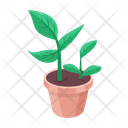 پیش‌نمایش فایل plant-and-flowers-8270109 از پک گیاه