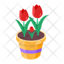 پیش‌نمایش فایل plant-and-flowers-8270112 از پک گیاه