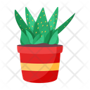 پیش‌نمایش فایل plant-and-flowers-8270113 از پک گیاه