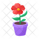 پیش‌نمایش فایل plant-and-flowers-8270116 از پک گیاه