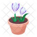 پیش‌نمایش فایل plant-and-flowers-8270125 از پک گیاه