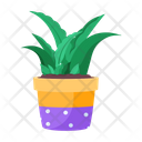 پیش‌نمایش فایل plant-and-flowers-8270133 از پک گیاه