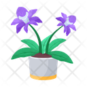 پیش‌نمایش فایل plant-and-flowers-8270134 از پک گیاه