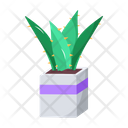 پیش‌نمایش فایل plant-and-flowers-8270135 از پک گیاه