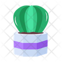پیش‌نمایش فایل plant-and-flowers-8270137 از پک گیاه