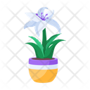 پیش‌نمایش فایل plant-and-flowers-8270138 از پک گیاه