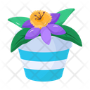 پیش‌نمایش فایل plant-and-flowers-8270144 از پک گیاه