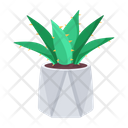 پیش‌نمایش فایل plant-and-flowers-8270147 از پک گیاه