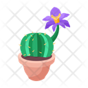 پیش‌نمایش فایل plant-and-flowers-8270156 از پک گیاه