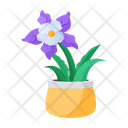 پیش‌نمایش فایل plant-and-flowers-8270159 از پک گیاه