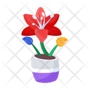 پیش‌نمایش فایل plant-and-flowers-8270161 از پک گیاه