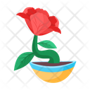 پیش‌نمایش فایل plant-and-flowers-8270167 از پک گیاه